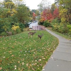 Meet your Posher, Sravani